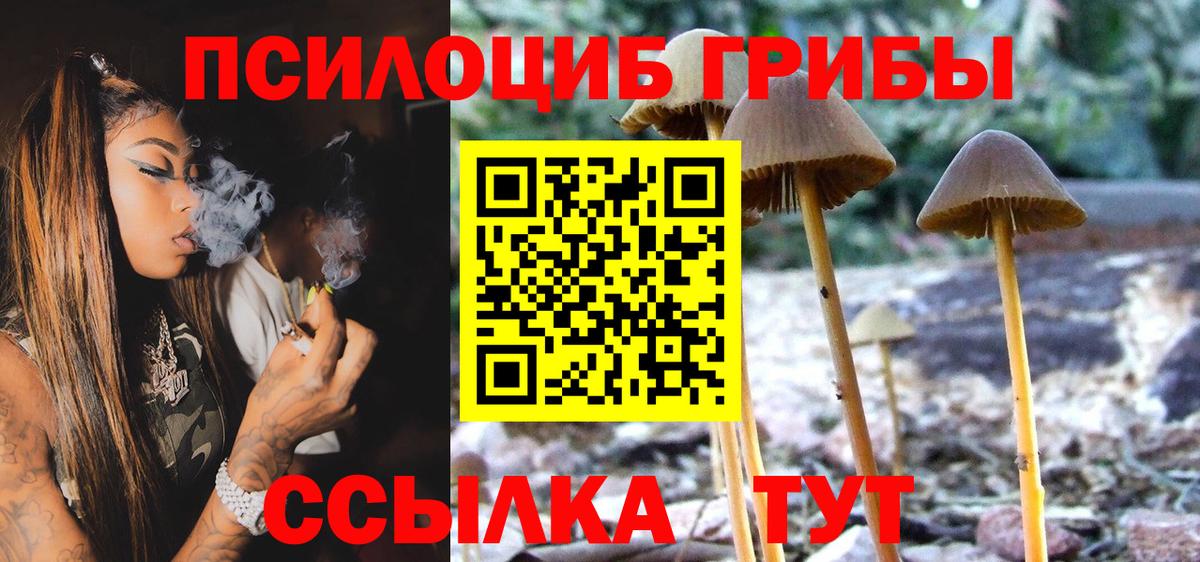 Галлюциногенные грибы GOLDEN TEACHER  Вход с VPN  Горно-Алтайск  Галлюциногенные грибы ЛСД 
